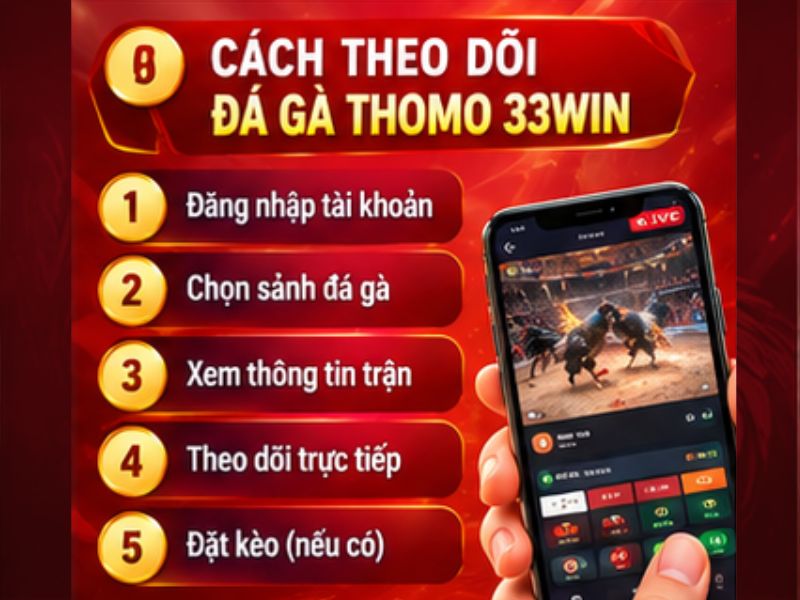 Cách Theo Dõi Đá Gà Thomo 33WIN