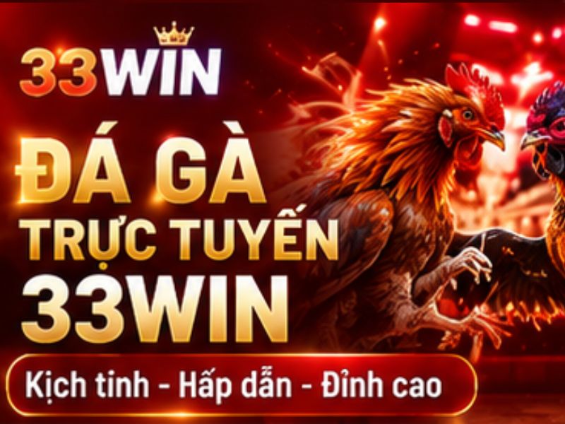 Đá gà 33WIN
