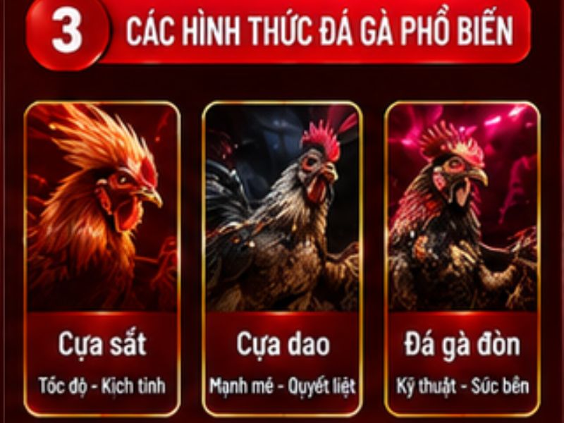 Những hình thức đá gà thường được quan tâm