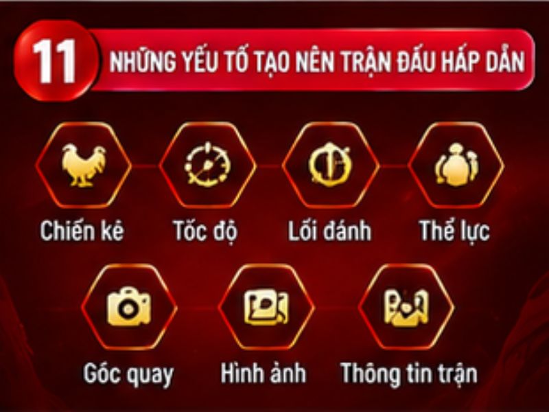 Những yếu tố tạo nên một trận đá gà hấp dẫn