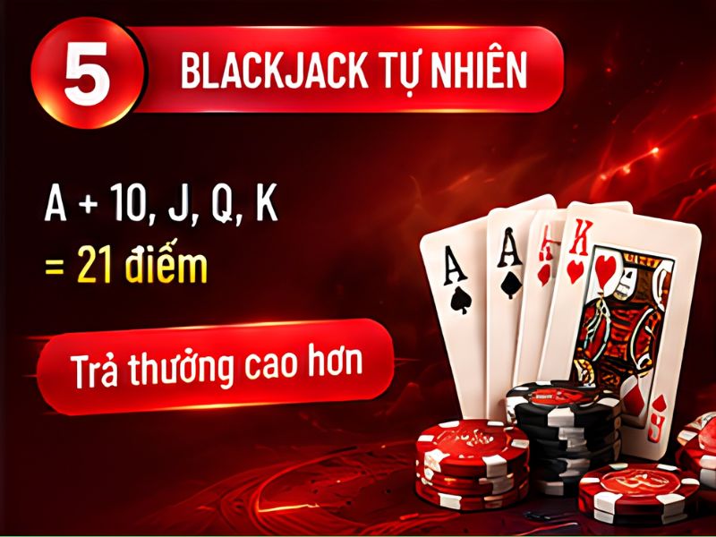 Blackjack tự nhiên và tổng 21 thông thường