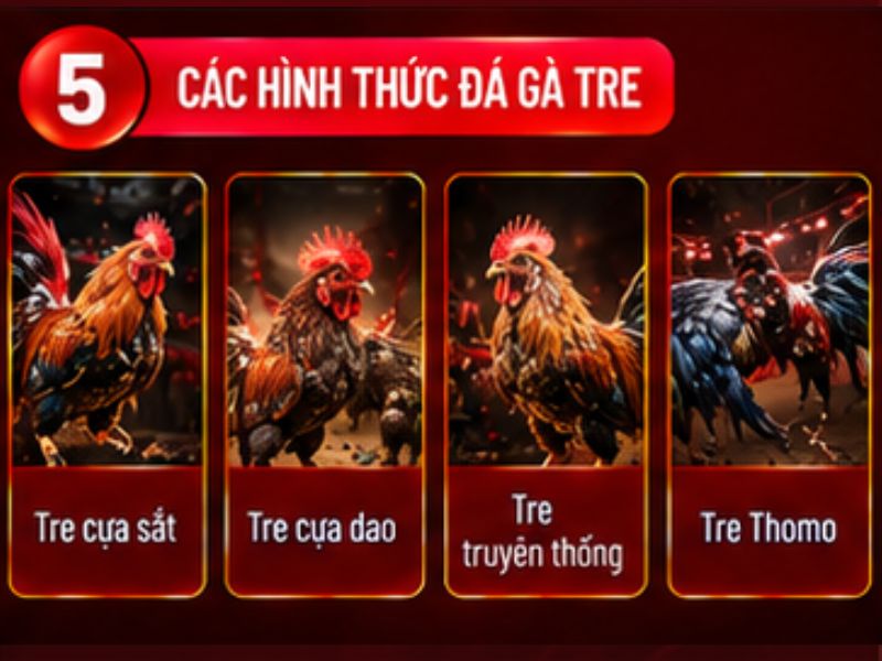 Các hình thức đá gà tre thường gặp