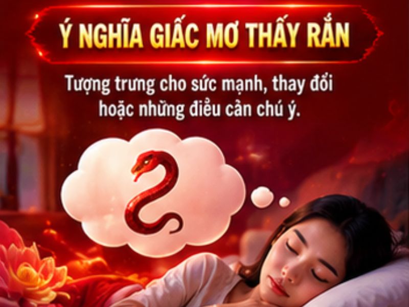 Giải Mã Giấc Mơ Thấy Rắn Có Ý Nghĩa Gì