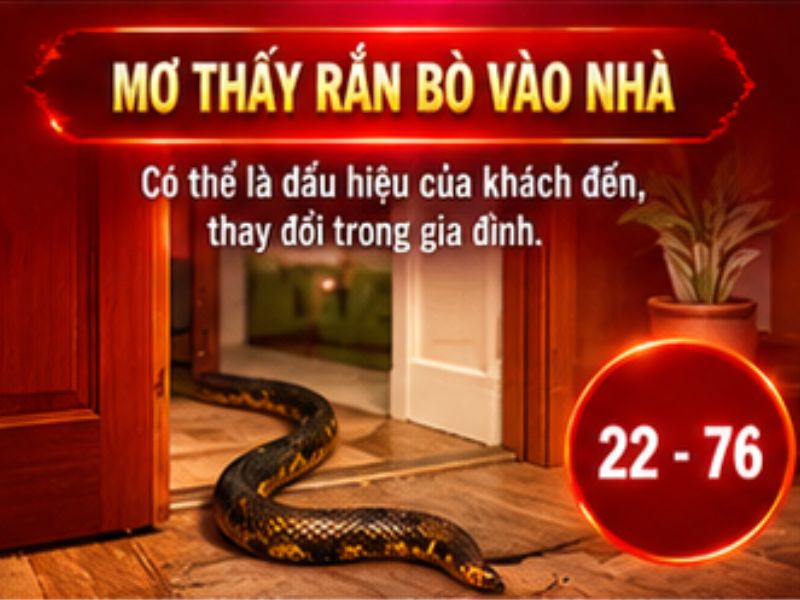 Mơ thấy rắn bò vào nhà