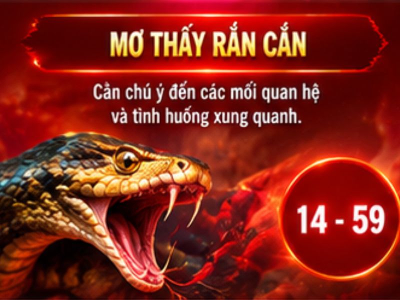Mơ thấy rắn cắn