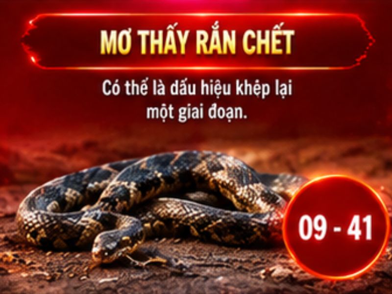 Mơ thấy rắn chết