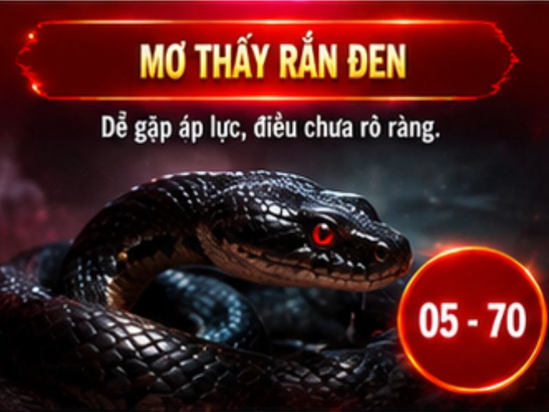 Mơ thấy rắn đen