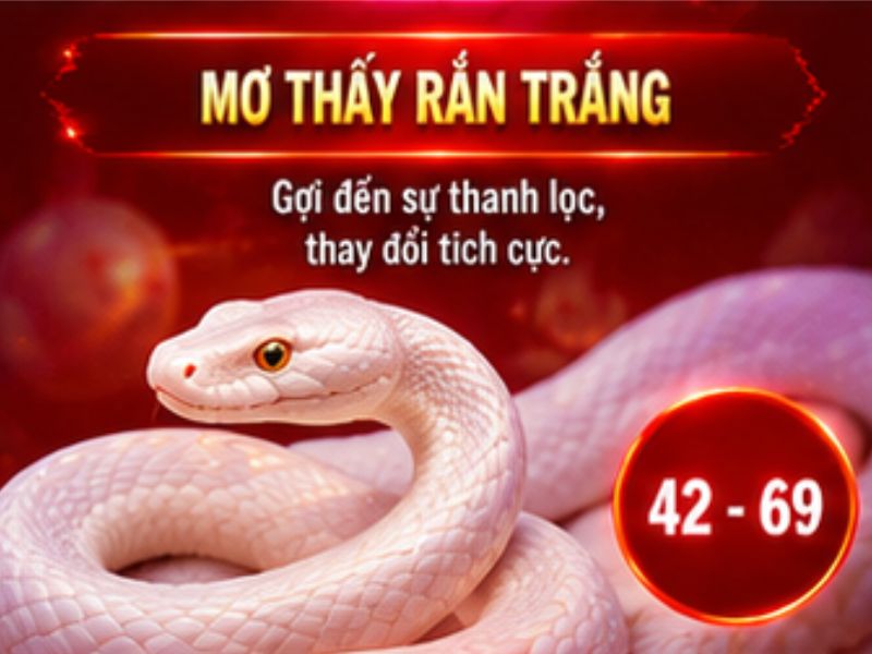Mơ thấy rắn trắng