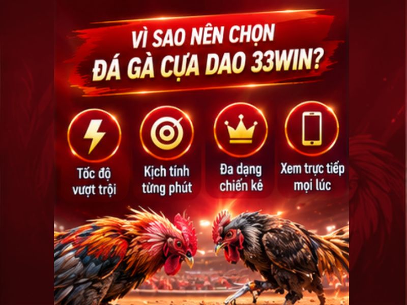 Vì Sao Đá Gà Cựa Dao 33WIN Có Sức Hút