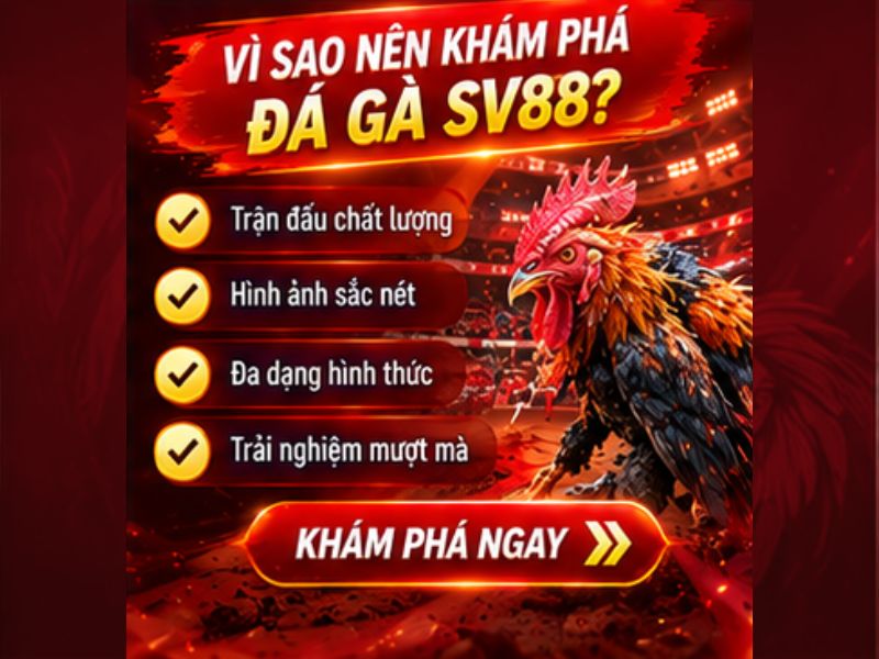 Vì Sao Đá Gà SV88 Là Nội Dung Đáng Chú Ý Trong Đá Gà 33WIN