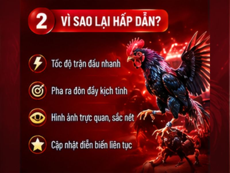 Vì sao đá gà cựa sắt 33WIN thu hút người theo dõi